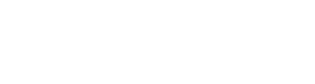 Connexus Career Strategies